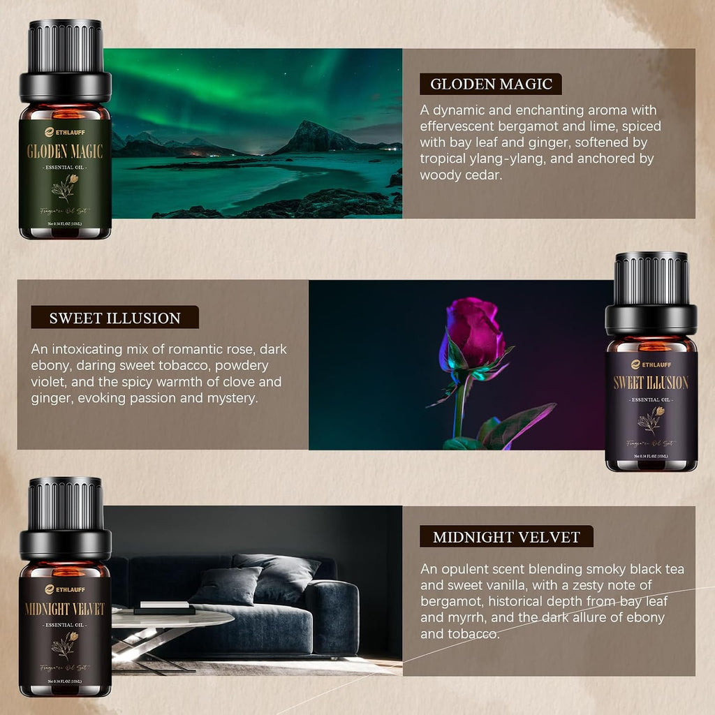 Diffuser Oil, My Way, Dream State, Coastal Cabine, Inspired by The Most Popular 5-Star Hotel Scents, Fragrance Oil - Set of 6
