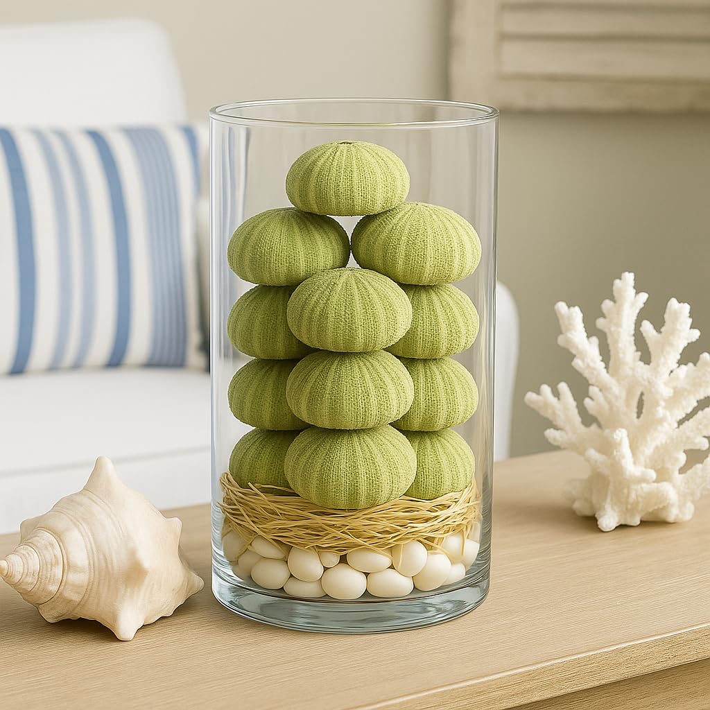Sea Urchins Shells for Air Plants - 18 Green (1.75-2.5") Sea Urchin Shells - Hanging Air Plant Holder - Air Plants