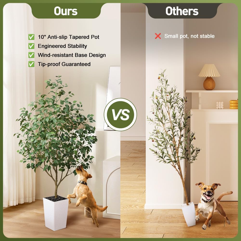 6FT Artificial Ficus Tree with White Taper Planter & Pebbles- Tall Faux Trees with UV Resistant Silk Leaves Outdoor