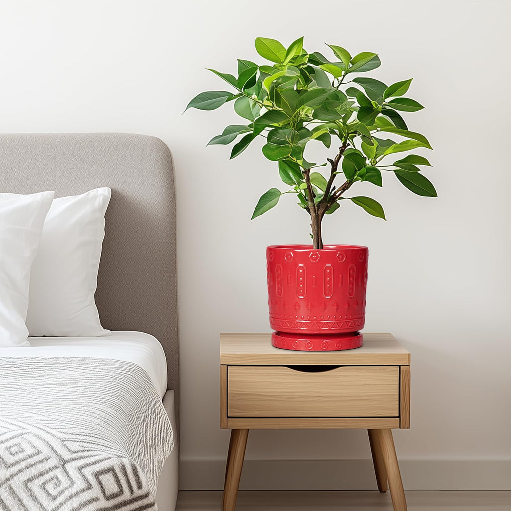 6 Inch Plant Pot, Ceramic Flower Pots for Indoor Outdoor Plants, Round Pots for Plants with Drainage Hole and Tray