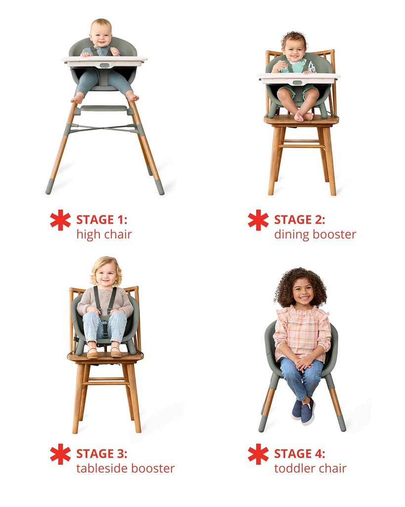 Baby High Chair 4-in-1 Convertible High Chair, EON, Thyme