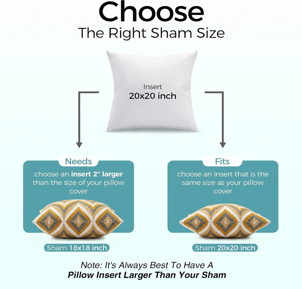 20x20 Throw Pillow Inserts - Supportive & Fluffy Down Alternative Pillow Forms for Couch, Sofa & Bed, Indoor - Set of 2