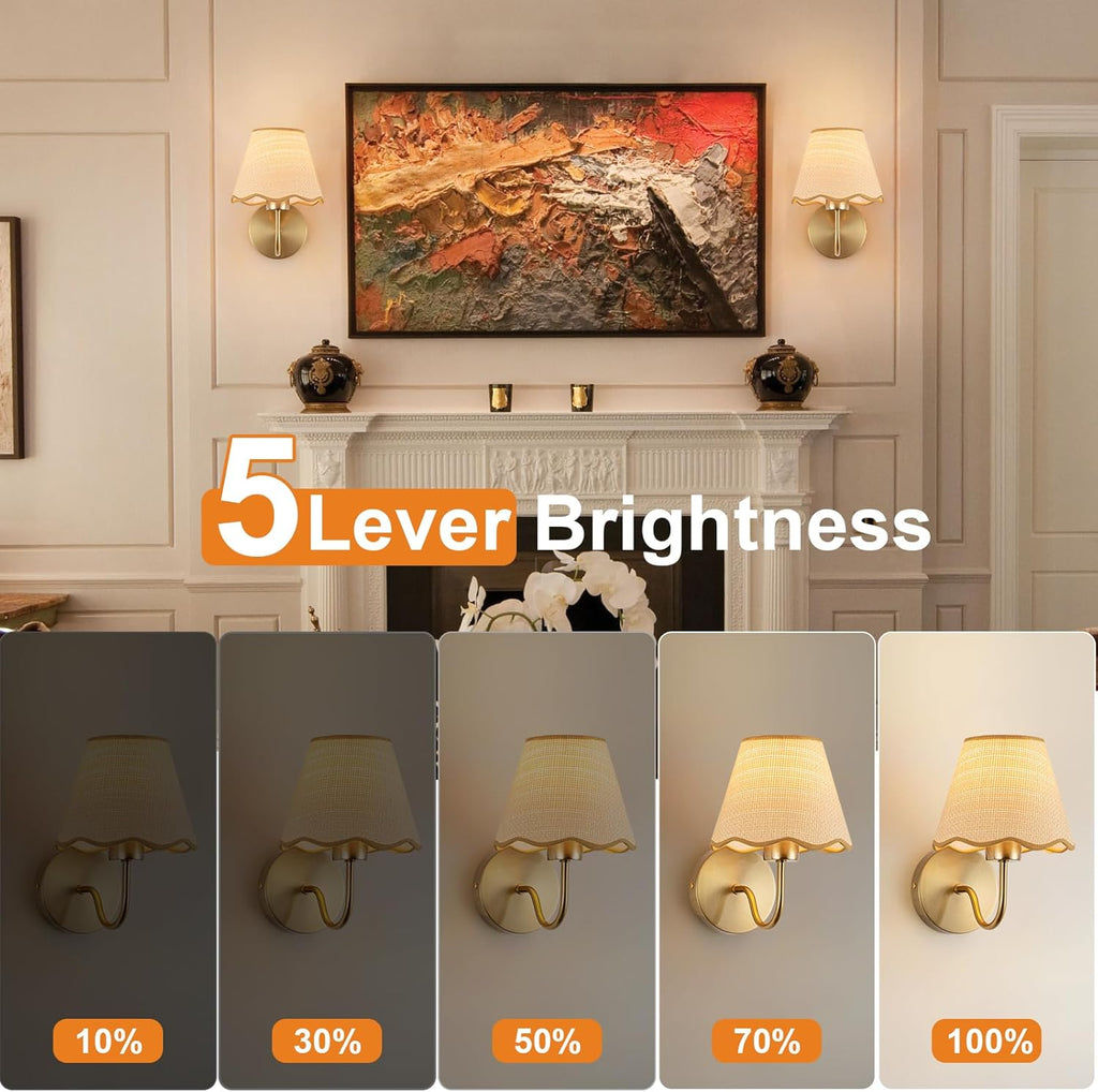 Battery Operated Wall Sconce Set of 2, Gold Wall Lamps Rechargeable Bulbs for Living Room, Rattan Shade Wireless Wall