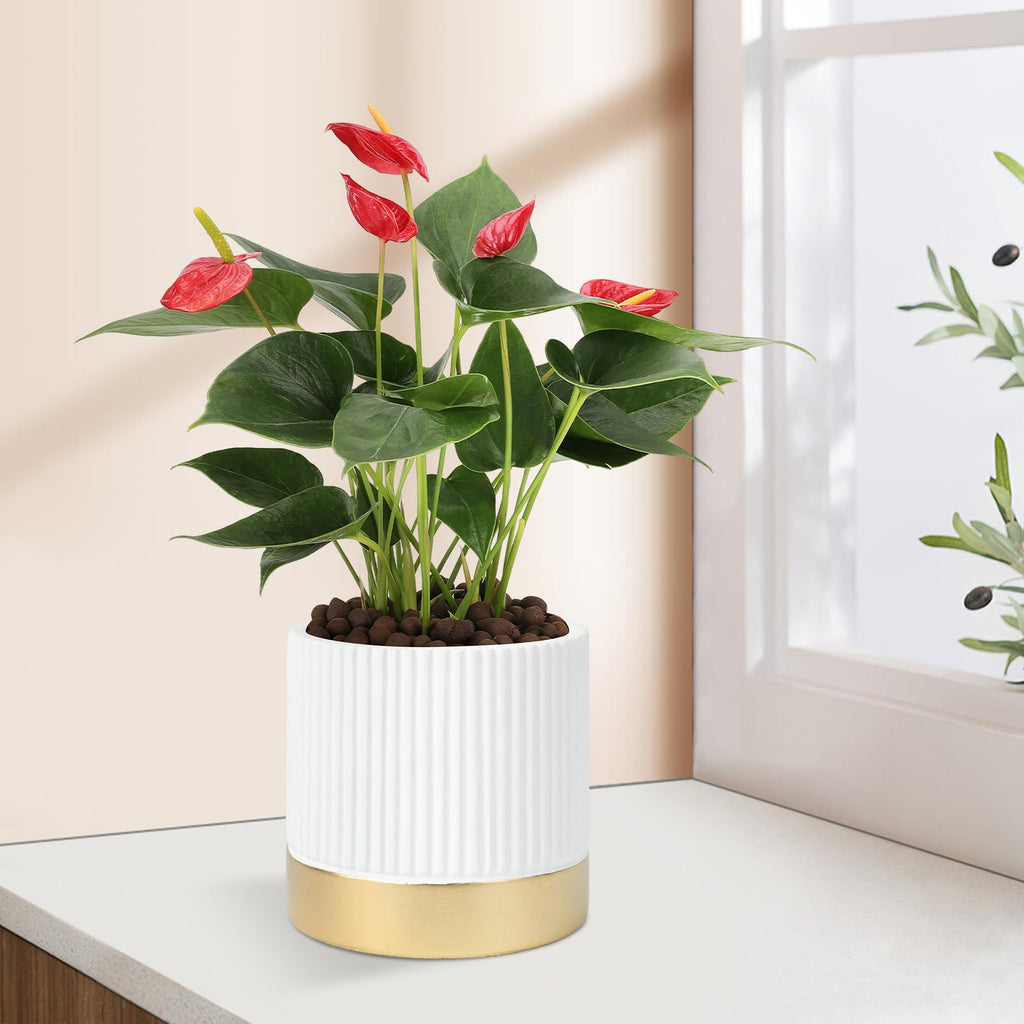 Set of 3 Cement Planter Pots with Drainage Hole, 4 inch Plant Pots for Plants Indoor Houseplants, Succulent Pots