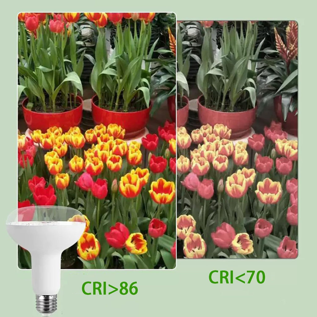 LED Grow Light Bulb 15W(150WEquivalent) E26/E27 Base BR30 5000K Red Blue Full Spectrum Plant Light Bulb for Indoor