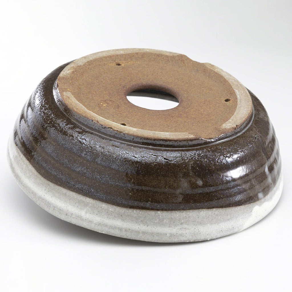 Shigaraki Bonsai Pot 8.3in, Handmade Japanese Pot, White Stripe