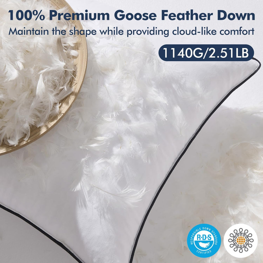 Goose Feather Down 20x20 Pillow Insert with 100% Down-Proof Cotton Cover, Soft Fluffy Decorative Pillow - Set of 2