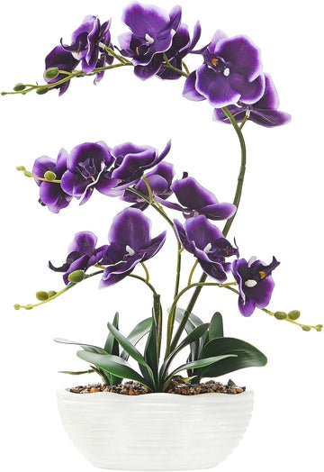 Large Silk Orchid in Wave Pot 19" Phalaenopsis Plant for Table, Deep Purple