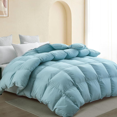 Premium Down Comforter Queen, Luxurious All Season Duvet Insert with Cotton Blended Fabric