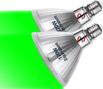 Full Glass LED PAR38 Green Flood Bulb, Direct True LED Color