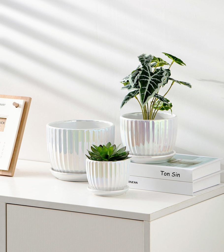 Plant Pots, Ceramic Flower Pots with Drainage Holes & Saucer Set of 3(Pearl)