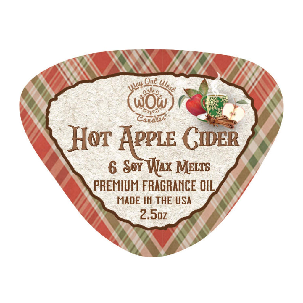 Soy Wax Melts Variety Pack of 4 - Winterberry Pine & Hot Apple Cider - Strongly Scented, Long-Lasting, Natural Soy