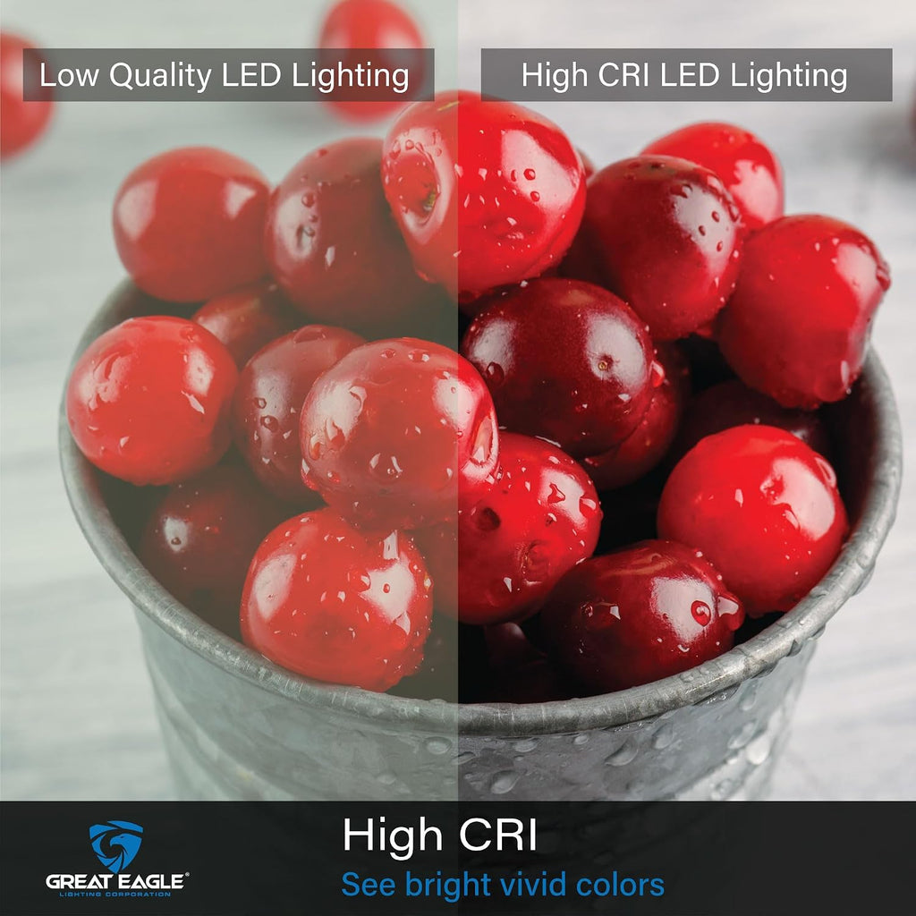 100W Equivalent LED A19 Light Bulb Daylight 5000K Dimmable UL Listed (6-Pack)