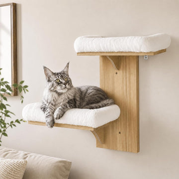 Cat Wall Shelves, Floating Perch for Cats, Wall Mounted Cat Furniture