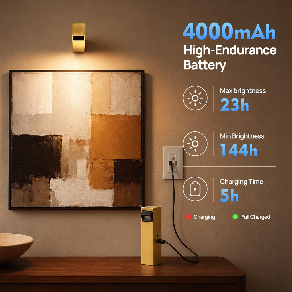 Picture Lights for Wall with 90° Adjustable Head, Metal Rechargeable LED Art Lights with Remote, 3CCT Dimmable