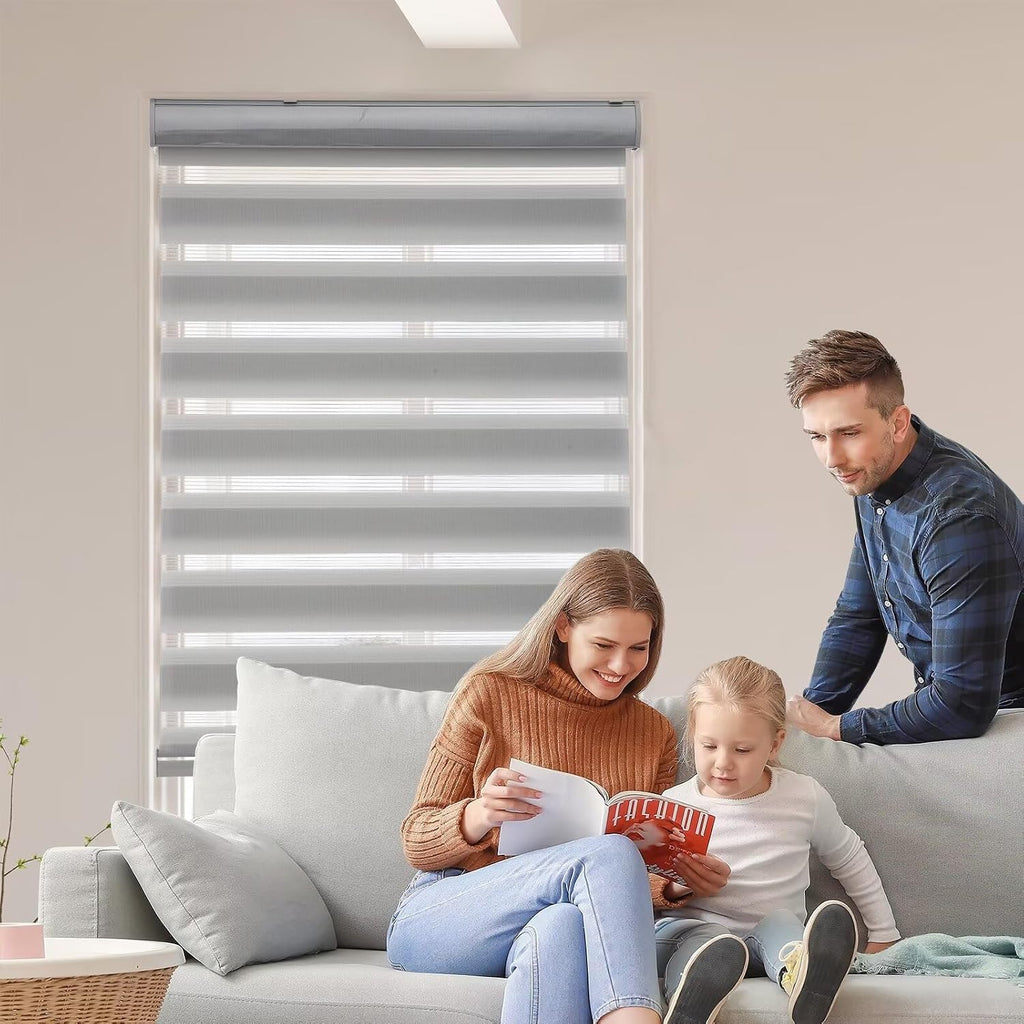Roller Shades Zebra Blinds for Windows Cordless Day and Night Light Filtering Dual Layer Roller Blinds 33" x 72" Grey