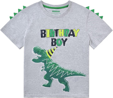 Birthday Boy T-Shirt - B-Day Dino Party T-Rex Top - Cotton Toddler Tee - Gray Short Sleeve Outfit