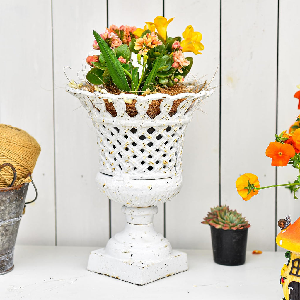 Cast Iron White Urn Planter - 10 Inches Hollow Trophy-Shaped Design