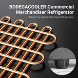 BODEGACOOLER Commercial Merchandiser Refrigerator, 5.7 Cu.Ft Single Swing Glass 