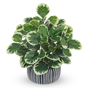 13" Artificial Plant Indoor Small Fake Plant in Oval Ceramic Pot