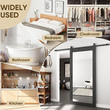 36in x 84in Mirror Barn Door with 6.6FT Sliding Door Hardware Kit Included, 1 Lites Full Length, Sol