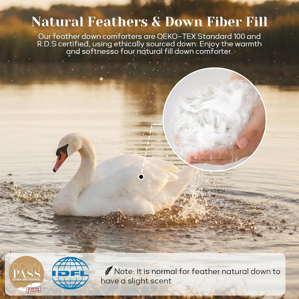 King Down Comforter - All Season Ultra Soft Goose Down & Feather Fiber Fill