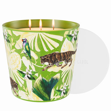 Verbena Fig Leaf Soy Candle, 30oz 3-Wick