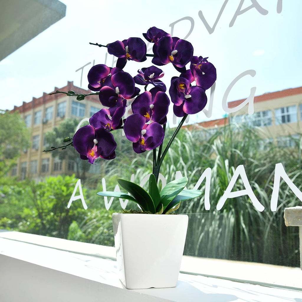 15" Silk Phalaenopsis Orchid in Square Pot, Dark Purple Flower Arrangements
