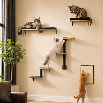 Cat Wall Shelves, Modern Cat Wall Furniture with Sisal Posts