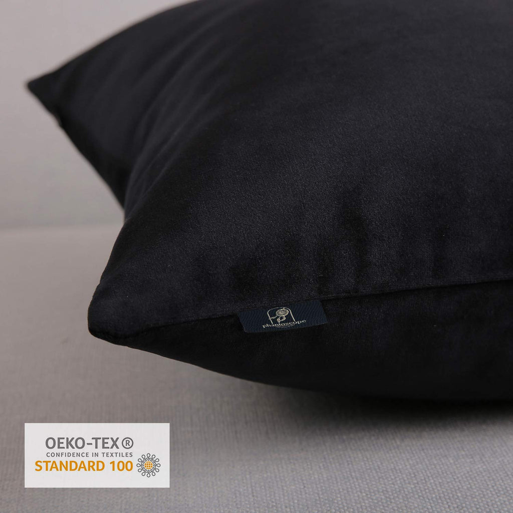 Pack of 2 Velvet Decorative Throw Pillow Covers Soft Solid Square Cushion Case for Couch Black 26 x 26 inches 65 x 65