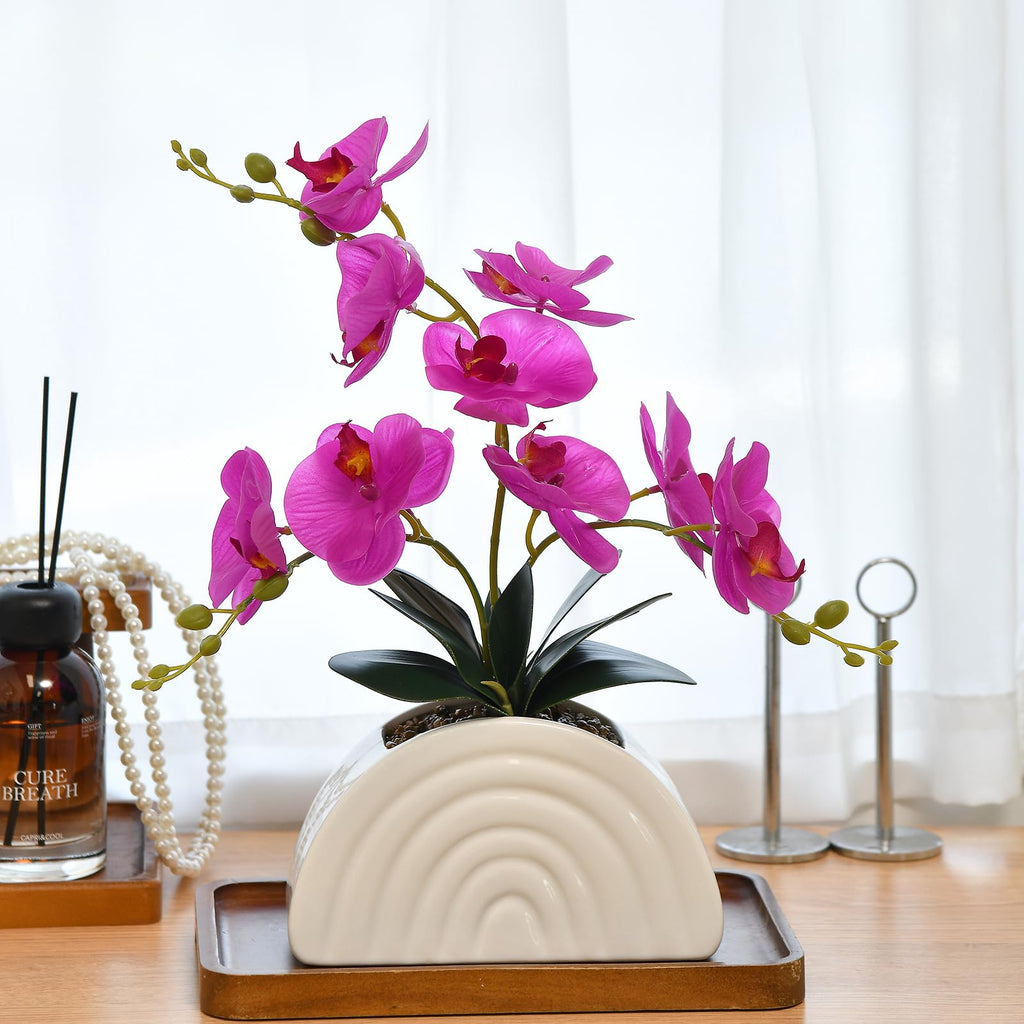 Fuchsia Silk Orchid Plant in White Rainbow Pot for Table Décor