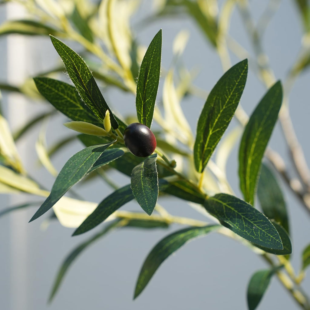 5FT Artificial Olive Tree - Faux Olive Tree with White Planter