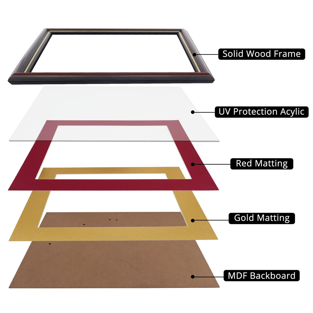 8.5x11 Diploma Frame with Red over Gold Mat or Display 11x14 Certificate without Mat, Solid Wood & Tempered