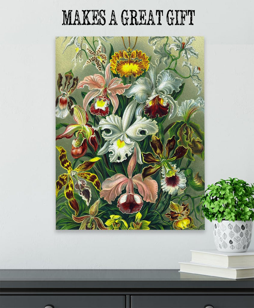 Orchid Botanical Illustration, Ernst Haeckel - 18x24 Unframed Art Print - Makes a Great Home or Office Decor and Gift
