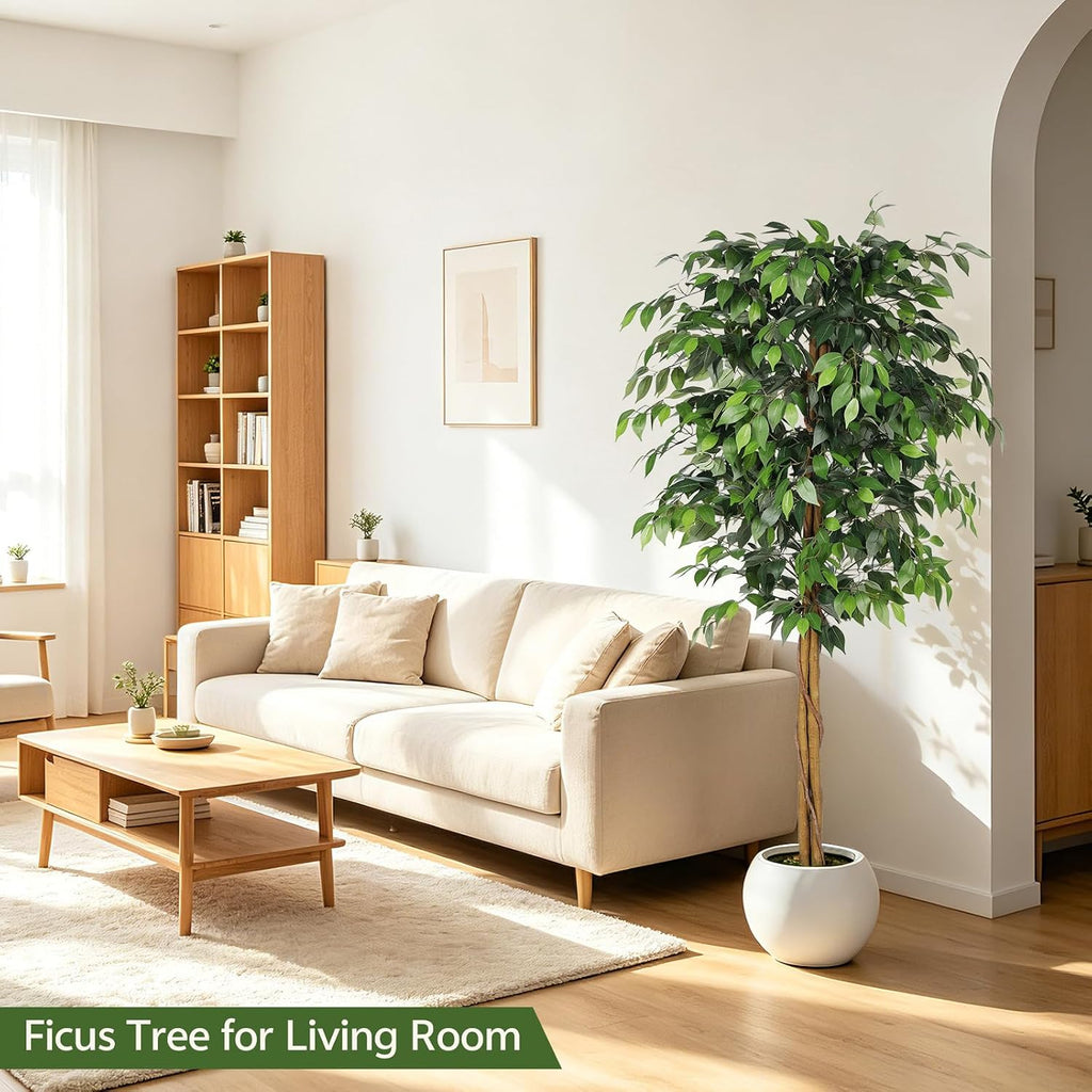 6ft Artificial Ficus Tree with Triple Trunk & Black Planter