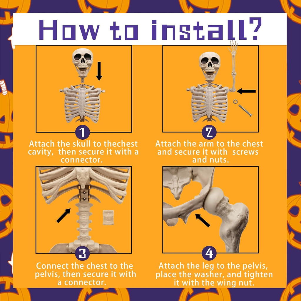 5.75ft Life Size Posable Halloween Skeleton, Movable Joints