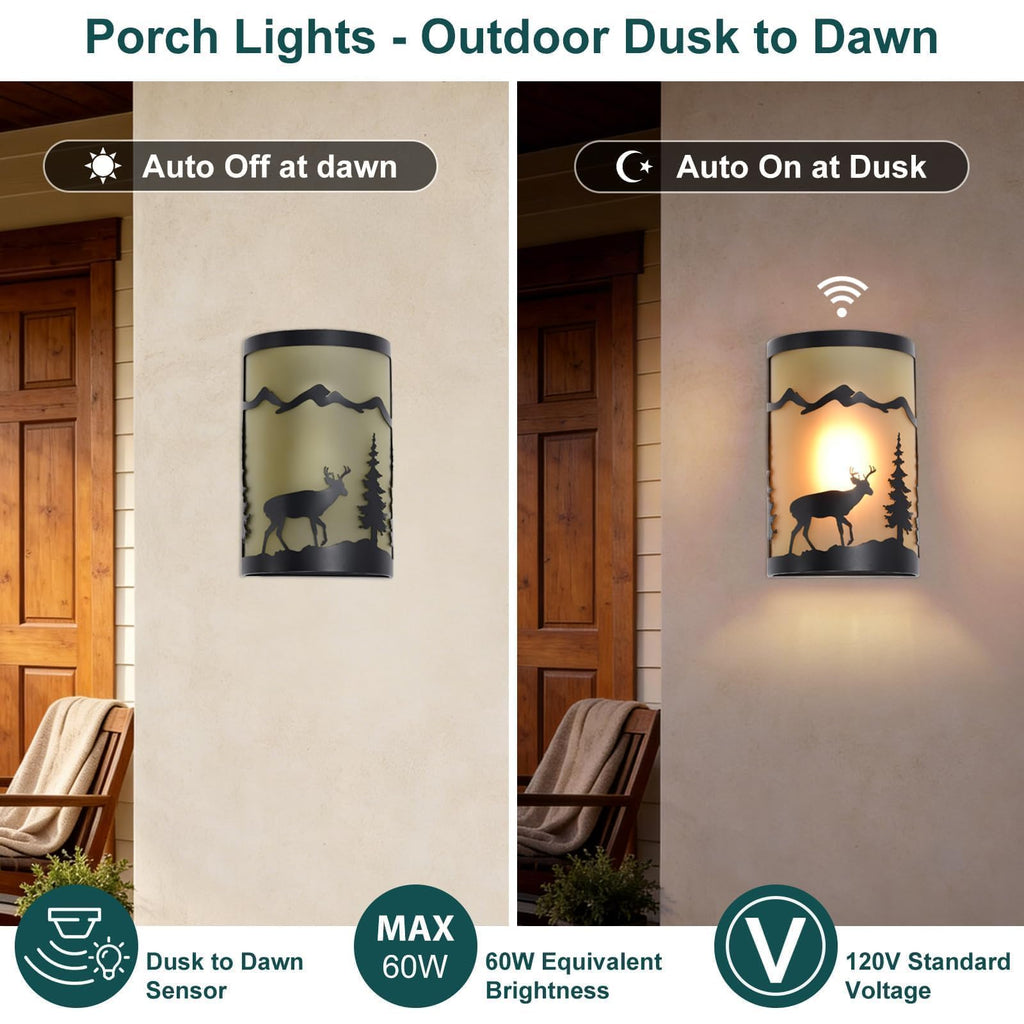 Rustic Outdoor Wall Lights, Amber Exterior Wall Sconce for Porch, 2 Pack