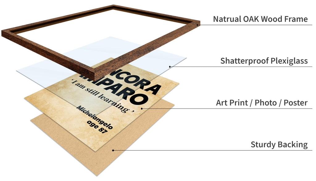 Master Michelangelo Poster - Ancora Amparo Print - I am Still Learning Art - Motivational Quote Art - Inspiring Gift