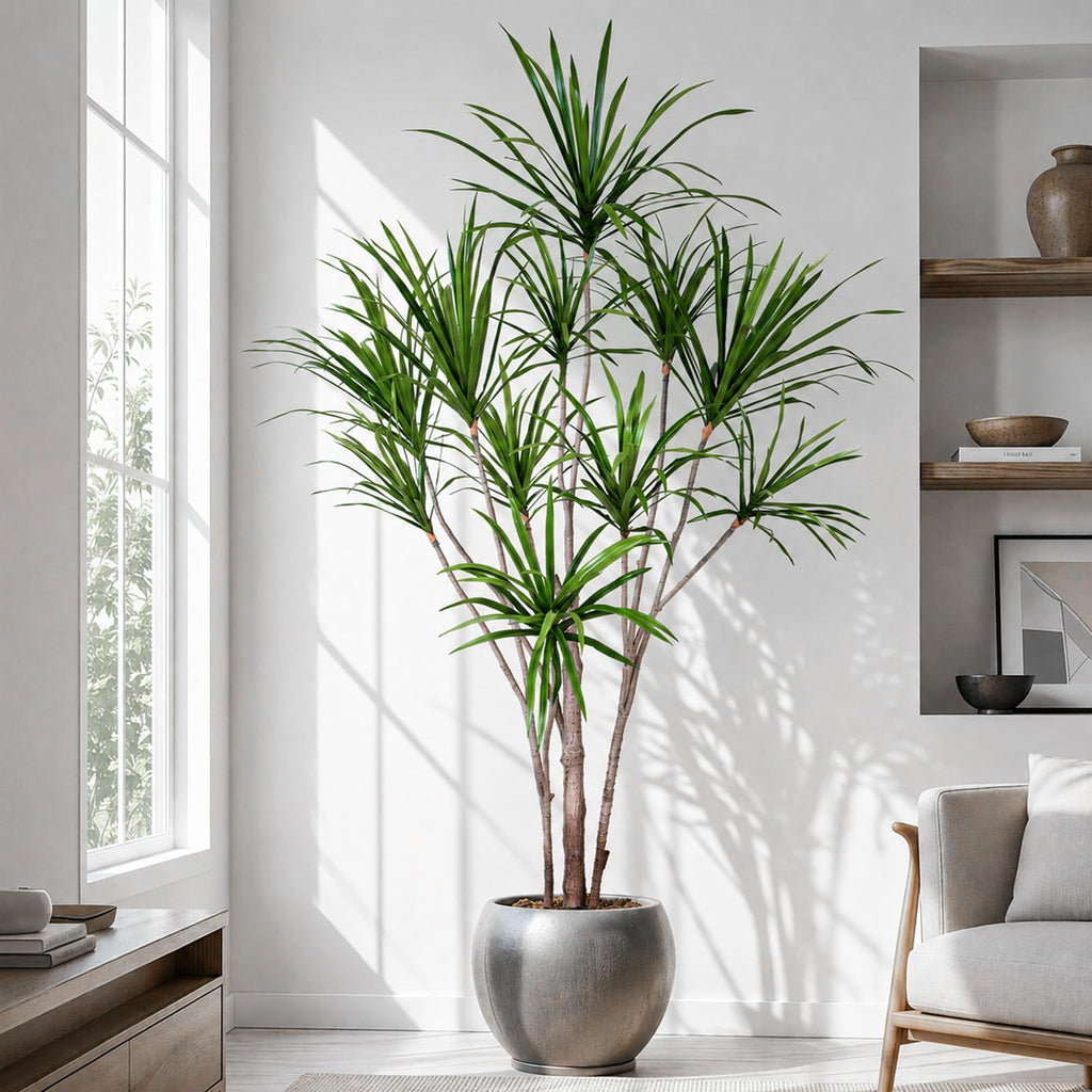 6ft Artificial Dracaena Marginata Tree with 315 Lifelike Leaves & 11 Heads, Tall Large Faux Tropical Yucca Plant Fake