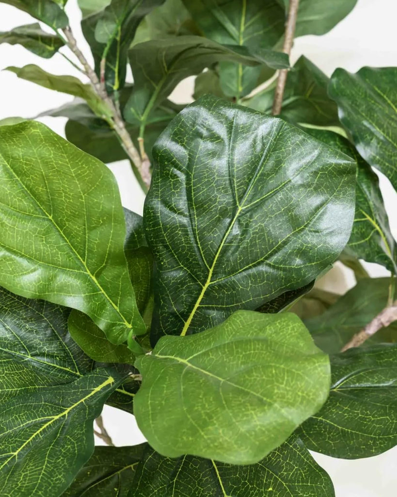 Artificial Fiddle Leaf Fig Tree 6FT with White Planter