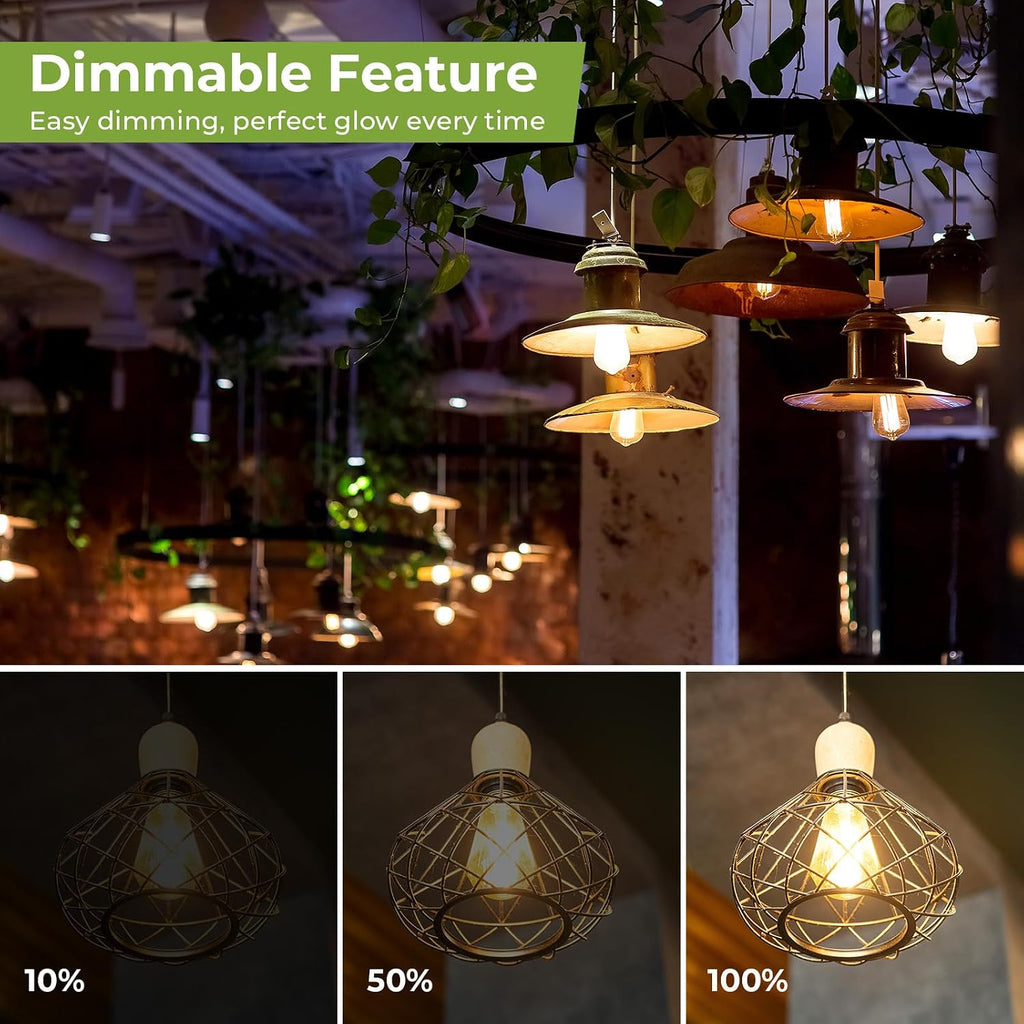 Edison Light Bulbs 60 watt Equivalent, E26 LED Bulb Dimmable, Soft White 2700K, Clear Glass ST58 Vintage Light Bulb