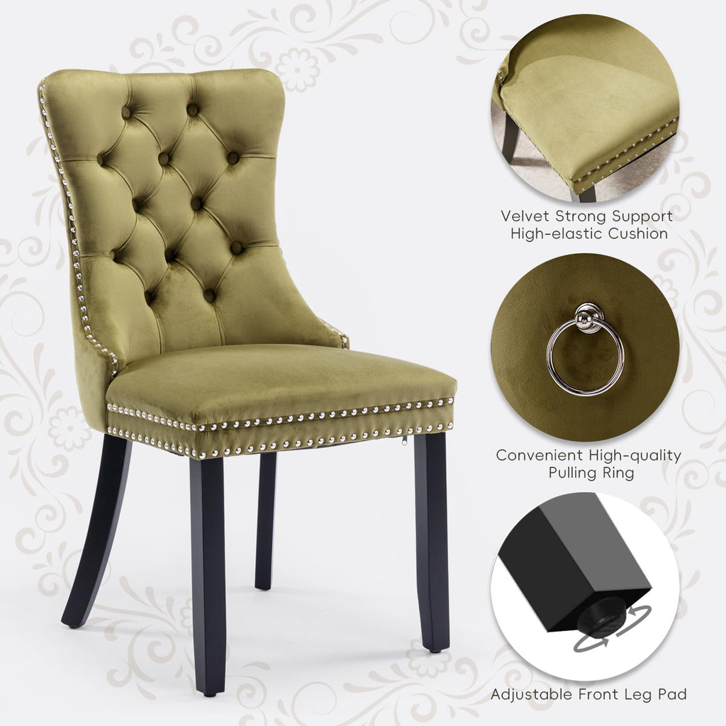Velvet Upholstered Dining Chairs Set of 2, Modern Style Kitchen Side Chairs with Nailhead Trim and Wood Legs,Metal