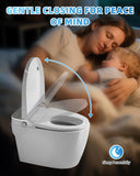 Smart Toilet with Bidet Built In, One Piece Elongated Tankless Japanese Toilet, Auto Open and Close Lid