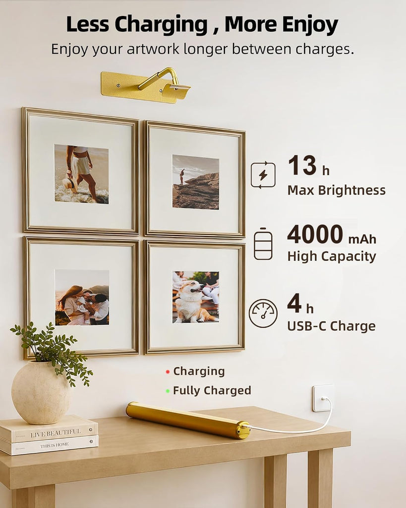 13inch Picture Lights for Wall, 4000mAh Rechargeable Art Lights