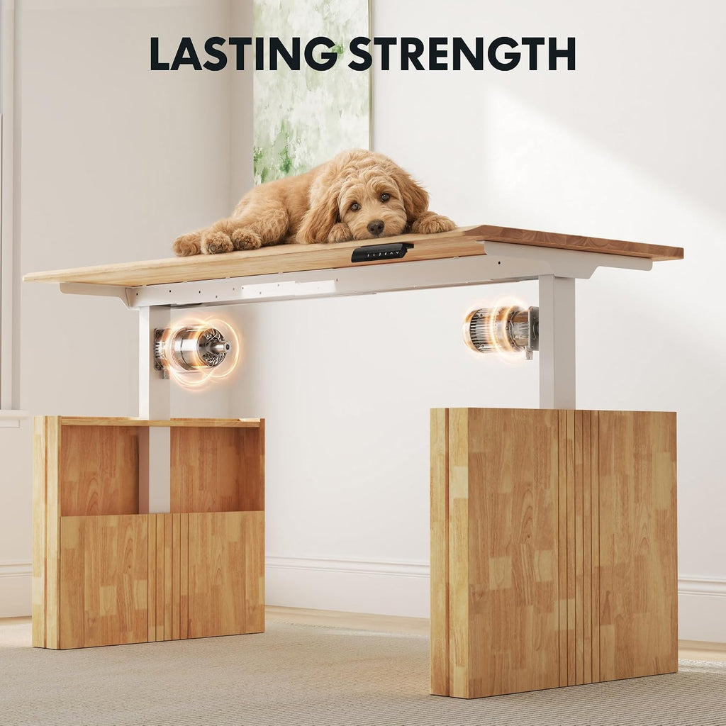 WoodiX Solid Wood Executive Standing Desk | 63 x 30 Inch Japandi-Inspired Sit-Stand Desk, Sculptural Fluted Legs