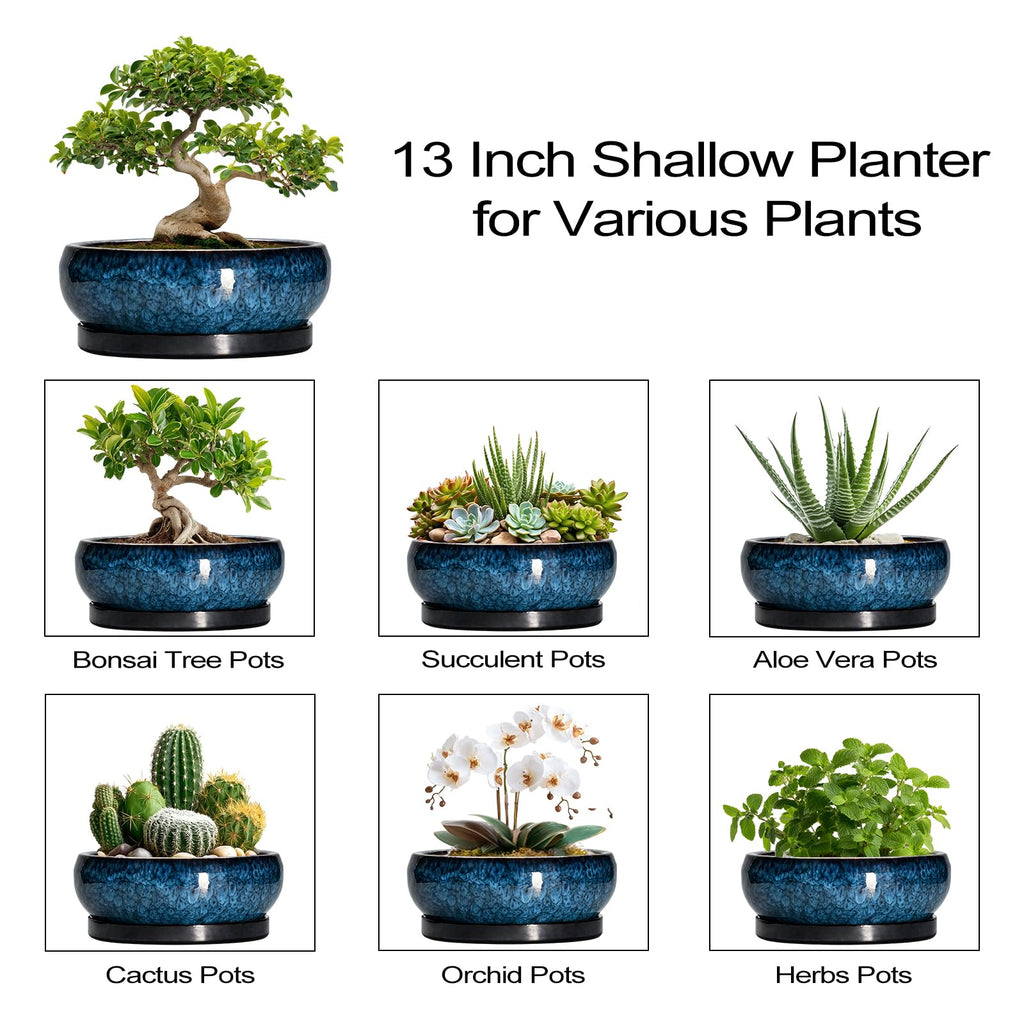 Bonsai Pots - 13 Inch Ceramic Succulent Pots for Indoor Outdoor, Large Succulent Planter with Drainage Hole and