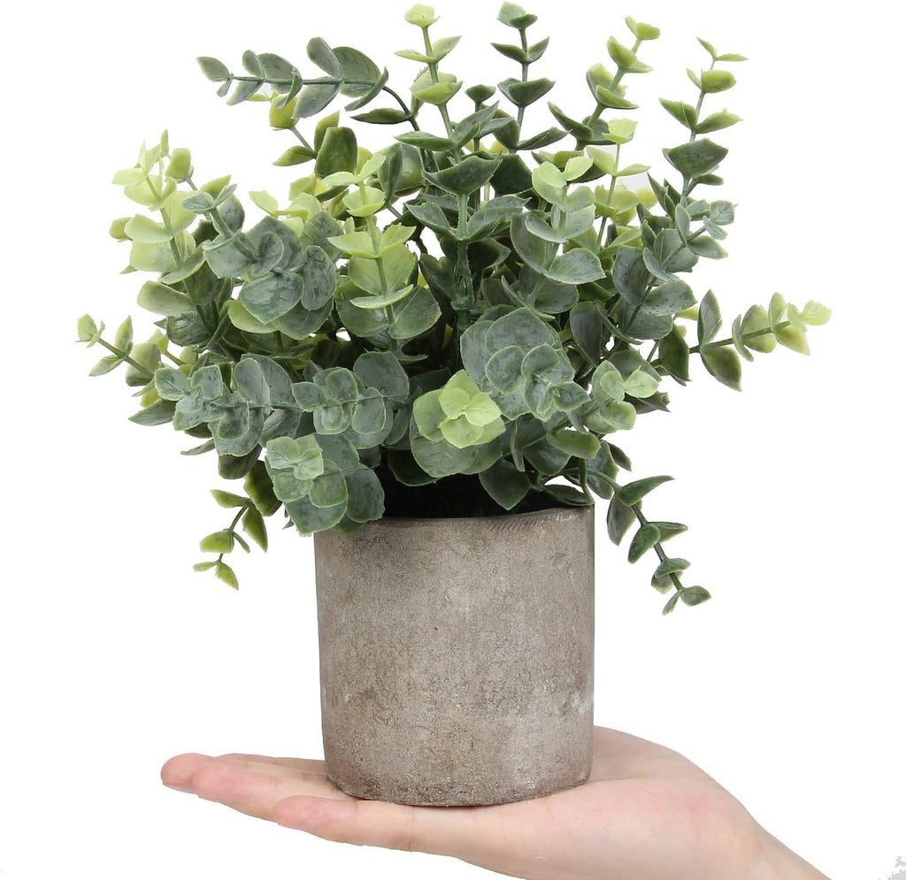Small Fake Plants Eucalyptus Potted Mini Potted Plants Artificial Eucalyptus Boxwood Rosemary Greenery in Pots Faux