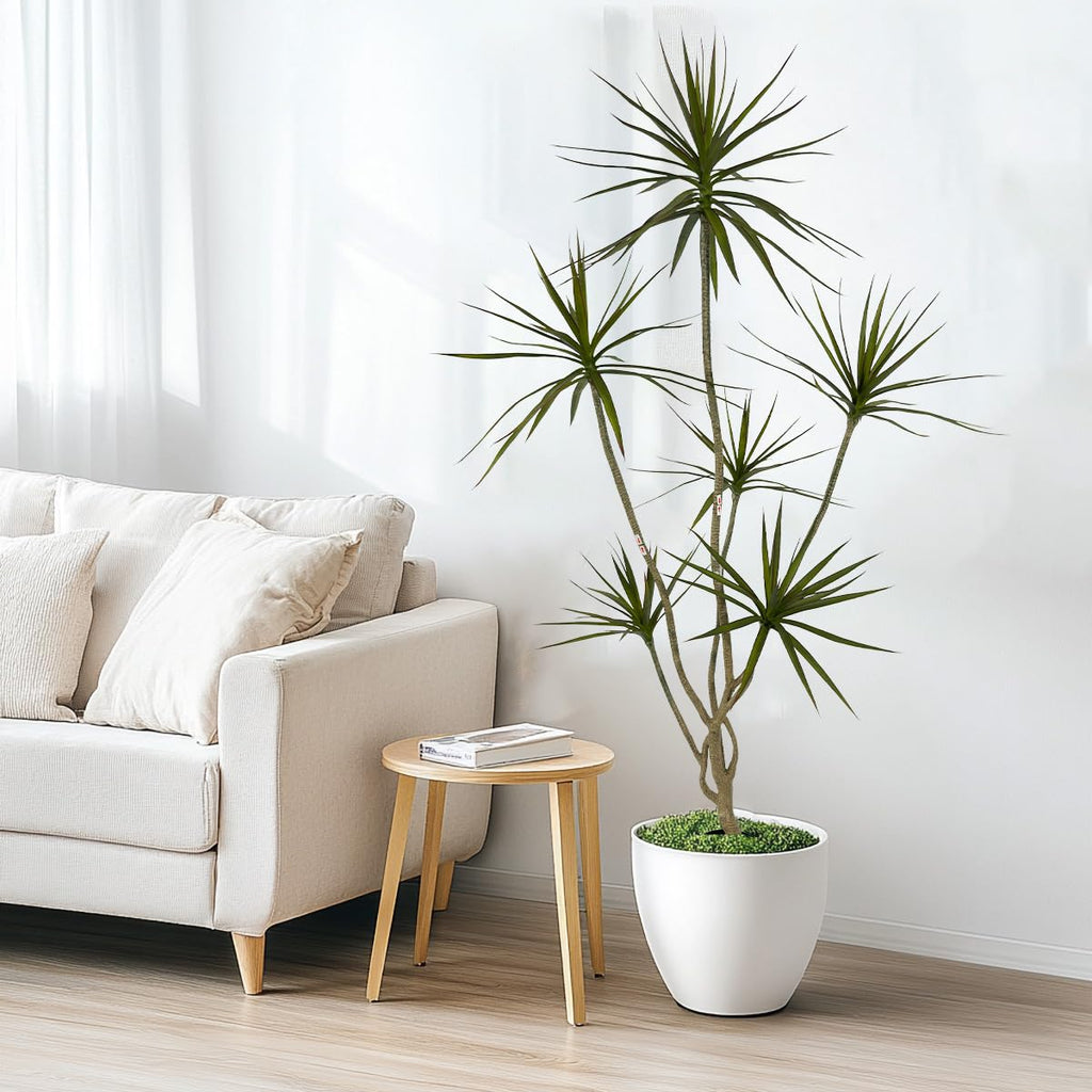 Artificial Dracaena marginata Plant 6ft Tall Indoor Tree。