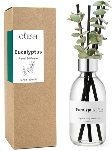 Reed Diffuser Set, 6.7 oz Eucalyptus Scented Diffuser with Sticks, Home Fragrance Reed Diffuser Shelf Decor