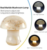 Natural Dolomite Marble Mushroom Lamp,Natural Gemstone Table Lamp Unique Crystal Veins Three-Color Temperature